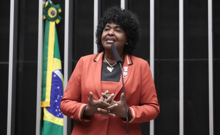 Bancada feminina seleciona projetos prioritários para 2025 e espera votá-los em março