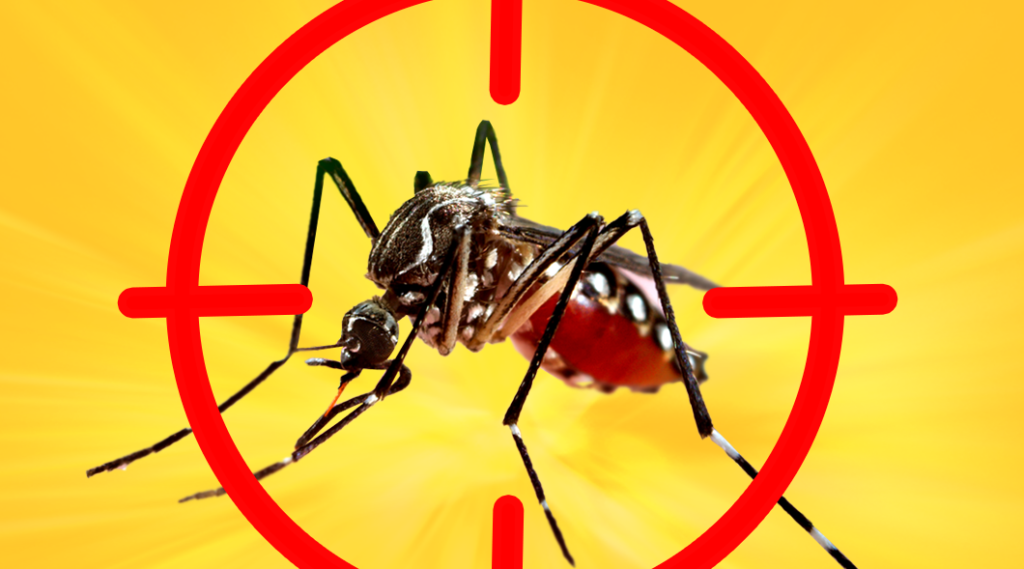 Espírito Santo tem a 1ª morte por Dengue do ano