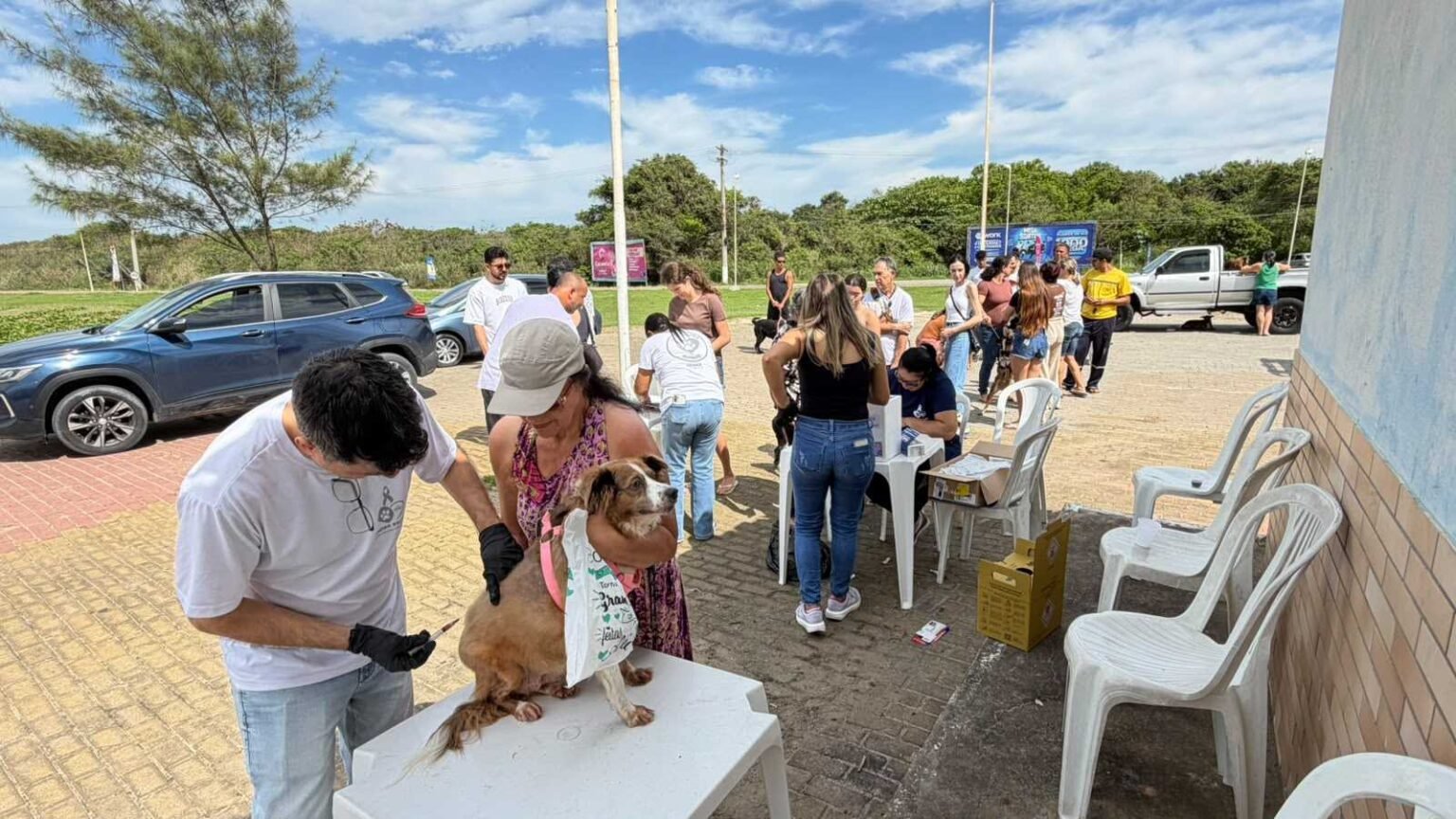 Itapemirim promove vacinação V8 para cães e reforça cuidados com a saúde animal
